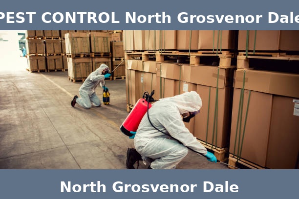PEST CONTROL North Grosvenor Dale